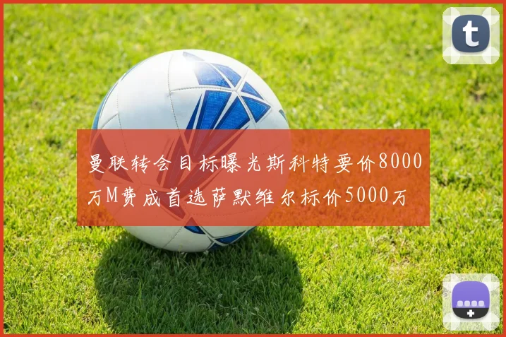 曼联转会目标曝光斯科特要价8000万M费成首选萨默维尔标价5000万