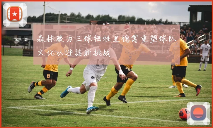 森林狼为三球牺牲里德需重塑球队文化以迎接新挑战