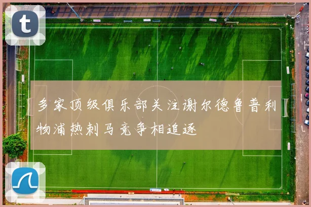 多家顶级俱乐部关注谢尔德鲁普利物浦热刺马竞争相追逐